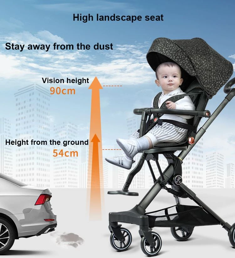 Stroller for Big Kids